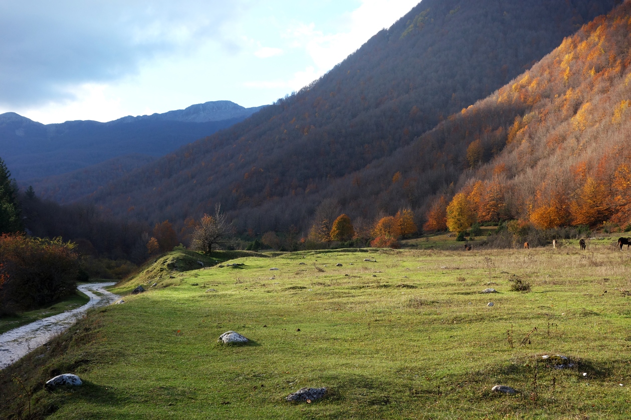 DSC00903