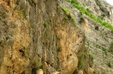 Monastero San Martino