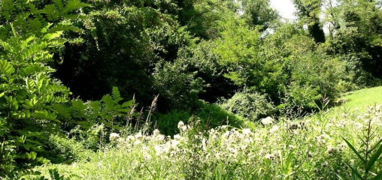 Trekking “Storia e natura del Parco dell’Annunziata, en el Camino de Santo Tomás”