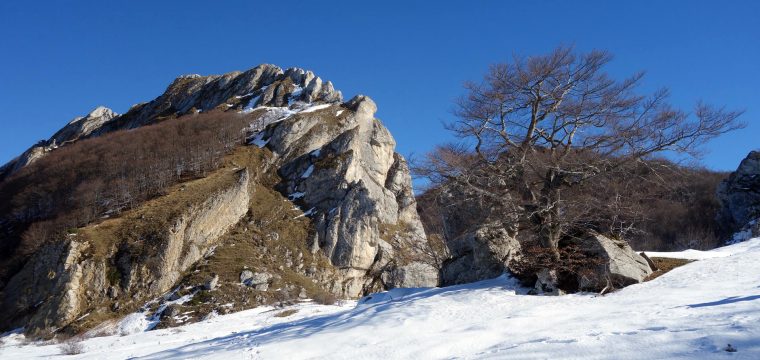 The ring of Cernaia Stone