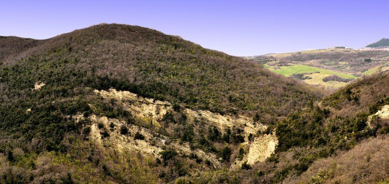 Naturaleza y sabores del Valle del Trigno