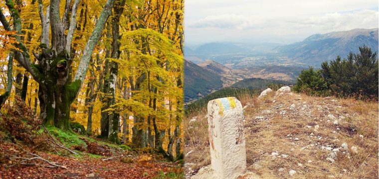 Dal Bosco de San Antonio en Colle Brignole