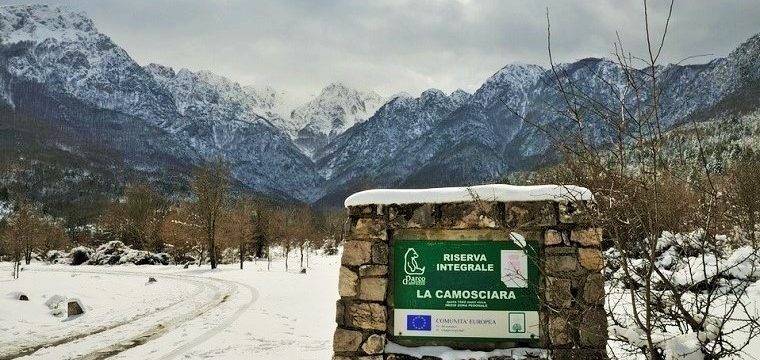 Raquetas de nieve a Camosciara de Civitella Alfedena