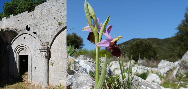 Subir a Monte Sacro, el camino de orquídeas
