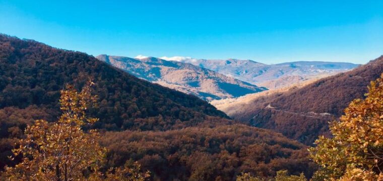 Excursión desde Colle Castagna al roble más antiguo de Abruzzo